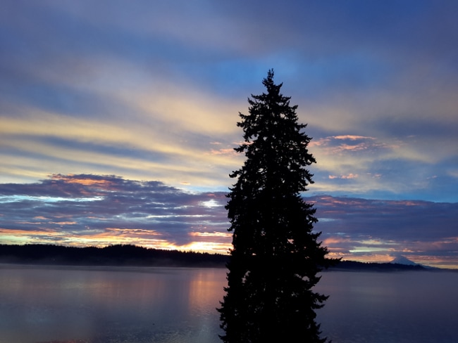 property at 8194 Silverdale Way NW