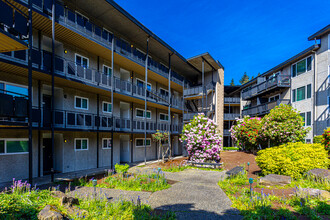Asteria Place Apartments in Kenmore, WA - Building Photo - Building Photo