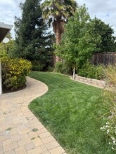 1816 Boxwood Dr in Concord, CA - Building Photo - Building Photo