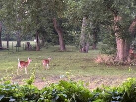 2011 Miller Rd in Rosharon, TX - Building Photo