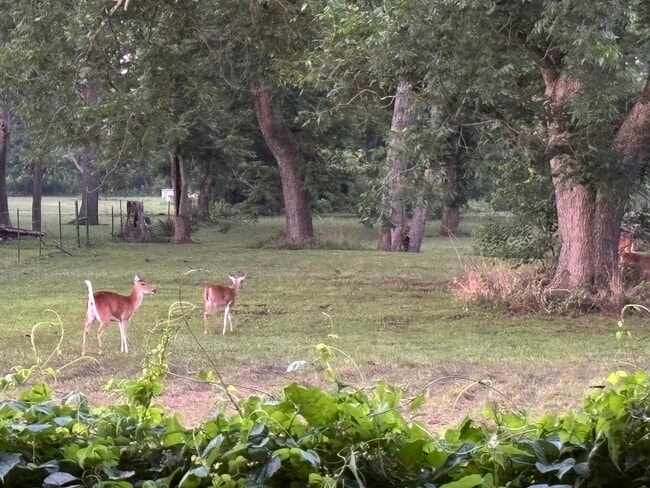 property at 2011 Miller Rd