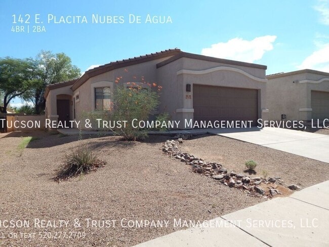 property at 142 E Placita Nubes De Agua