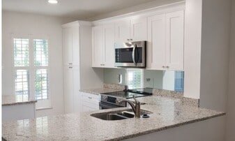 1135 Dover Ct in Safety Harbor, FL - Building Photo