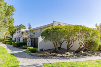 High Meadow Terrace in Carmel, CA - Building Photo - Building Photo