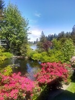 19414 Aurora Ave N, Unit 203 in Seattle, WA - Building Photo