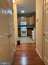 3840 Lightfoot St in Chantilly, VA - Building Photo - Building Photo