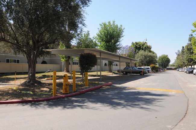 Meadowview Apartments II in Perris, CA - Building Photo - Building Photo