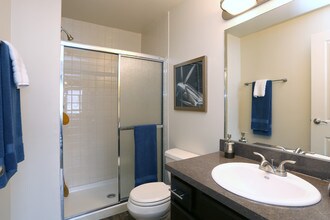 Albion on Lake Cook in Palatine, IL - Foto de edificio - Interior Photo