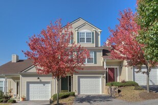 315 Huff Heritage Ln in Christiansburg, VA - Building Photo