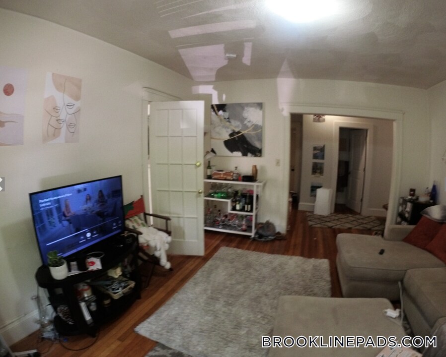 241 Freeman St in Brookline, MA - Building Photo