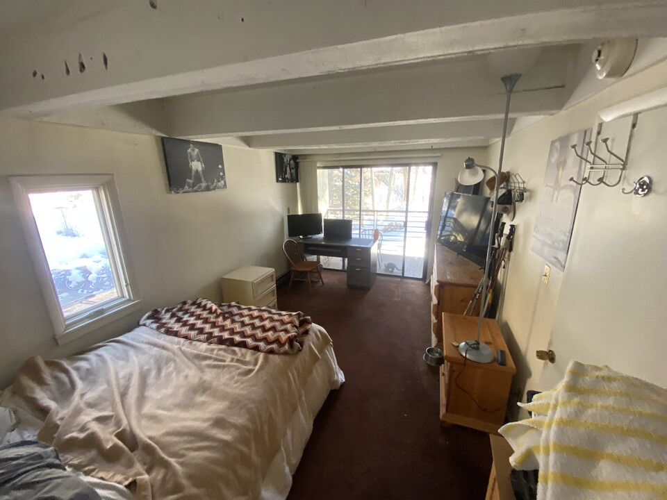 300 E Lionshead Cir, Unit Ski Vail in Vail, CO - Building Photo