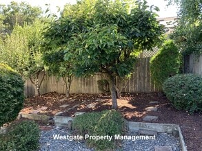 1160 Birch Dr in Petaluma, CA - Building Photo - Building Photo