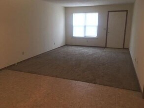 1017 S Lexington Ave in Springfield, MO - Building Photo - Building Photo
