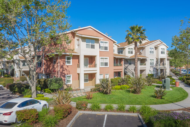 The Lexington Apartments in Davis, CA - Building Photo - Building Photo