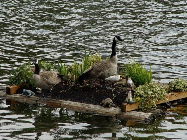 13456 Greenwood Ave N in Seattle, WA - Foto de edificio - Building Photo
