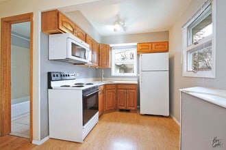 39271 N Lake Ave in Lake Villa, IL - Building Photo - Building Photo