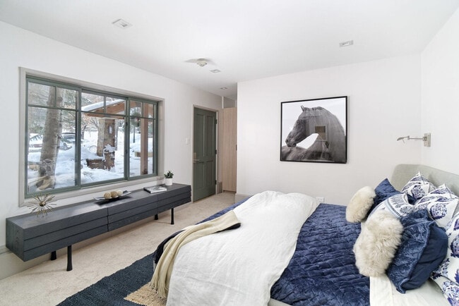 747 S Galena St in Aspen, CO - Building Photo - Building Photo