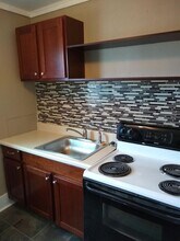 306 W Maple St in Johnson City, TN - Building Photo - Building Photo