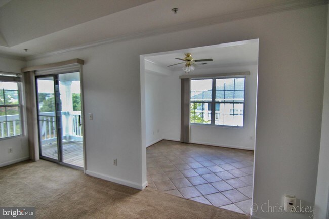 14154 Cuddy Loop-Unit -303 in Woodbridge, VA - Building Photo - Building Photo