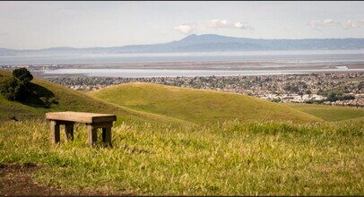 231 Goldback Ct in American Canyon, CA - Foto de edificio - Building Photo