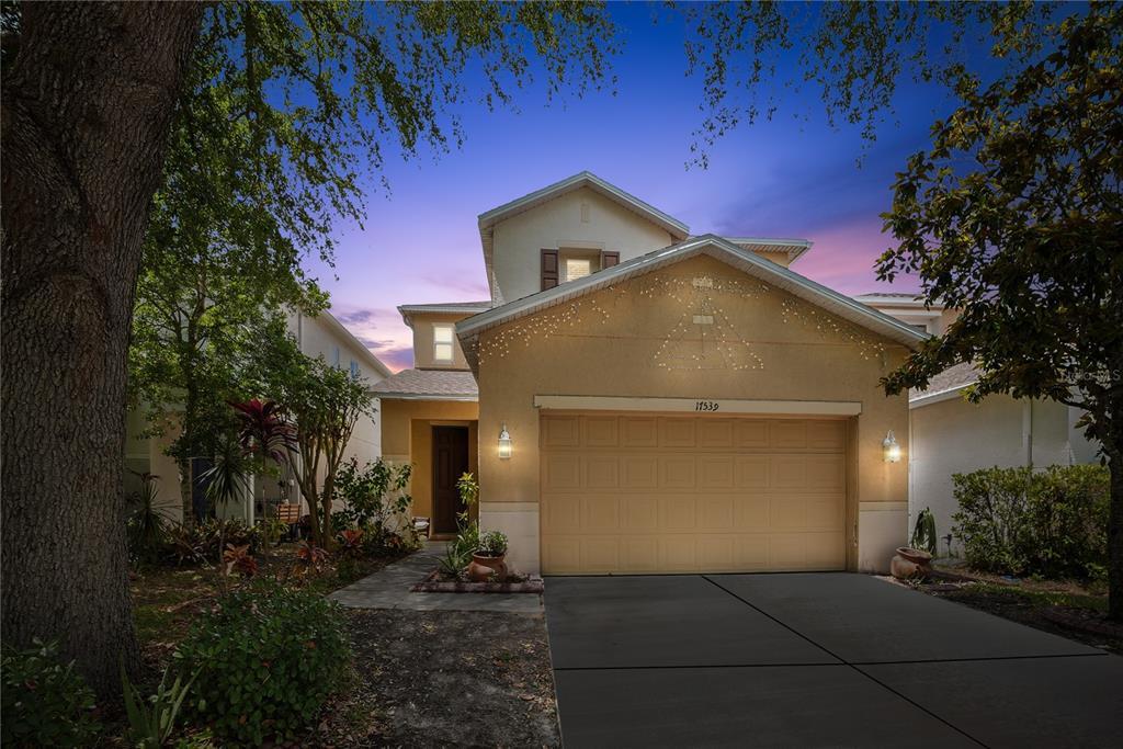 17539 Balmaha Dr in Land O Lakes, FL - Building Photo