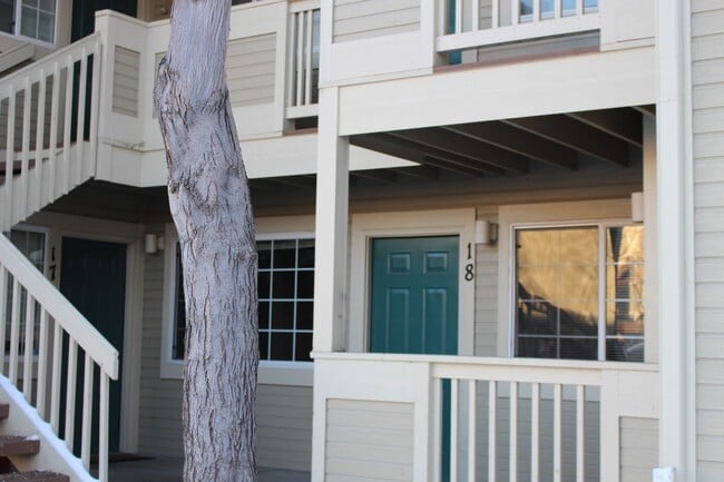property at 1225 W Prospect Rd