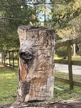 121 Gilbert Curry Dr in Castle Hayne, NC - Building Photo - Building Photo