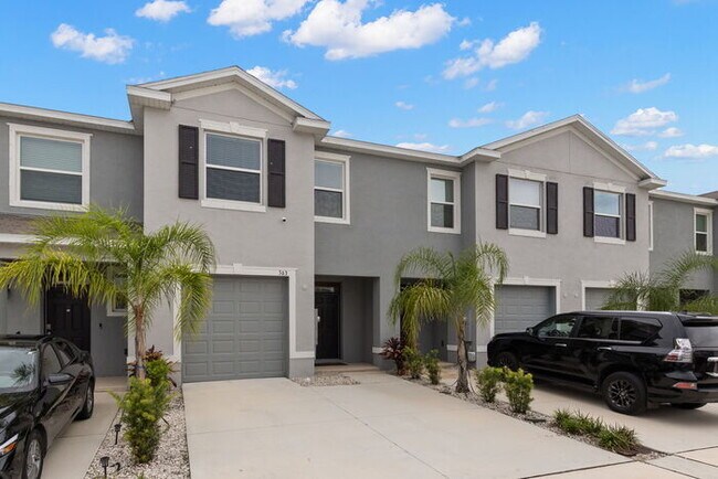 363 Mangrove Shade Cir in Apollo Beach, FL - Building Photo - Building Photo