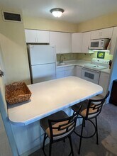 30 E Elm St, Unit 4F in Chicago, IL - Building Photo - Building Photo