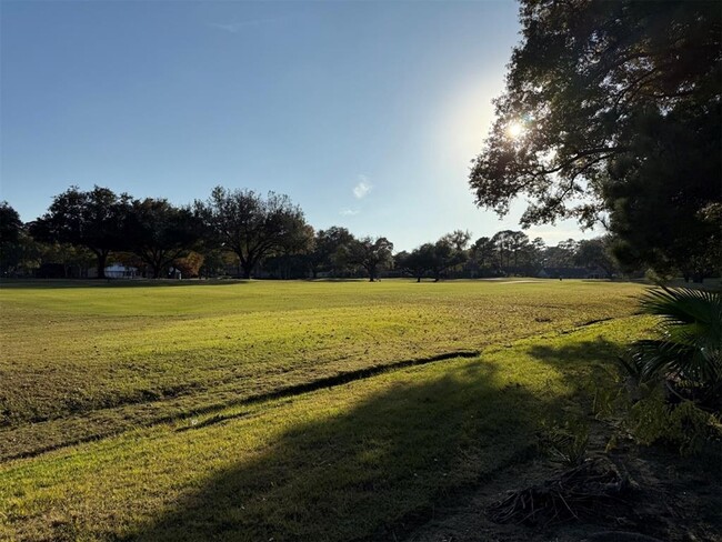 236 Springs Edge Dr in Montgomery, TX - Building Photo - Building Photo