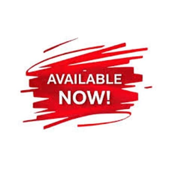 3702 Avenue R in Lubbock, TX - Building Photo - Building Photo