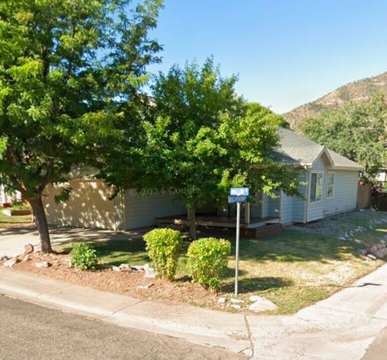201 Mallow Ct in New Castle, CO - Foto de edificio