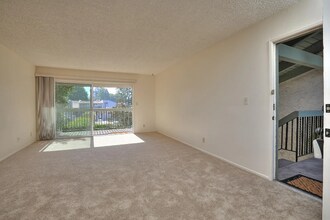 5518 Armitos Ave in Goleta, CA - Building Photo - Building Photo