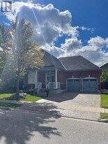 211 St Francis Ave in Vaughan, ON - Building Photo