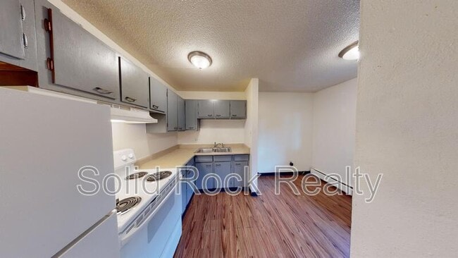 1411 S Corona Ave in Colorado Springs, CO - Building Photo - Building Photo