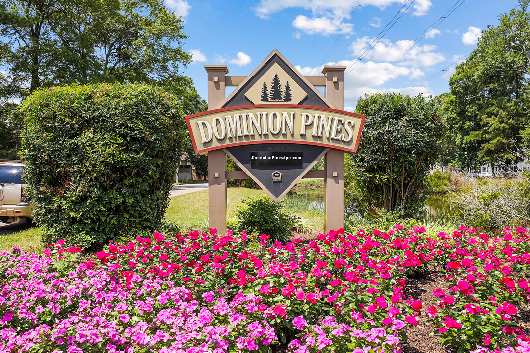 Dominion Pines Apartments in Chesapeake, VA - Building Photo