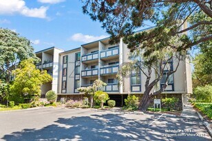 955 Shorepoint Ct in Alameda, CA - Building Photo