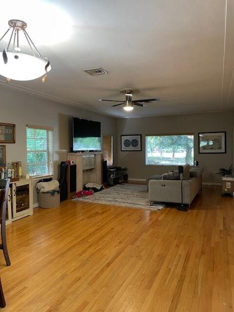 6625 Nervia St in Coral Gables, FL - Building Photo - Building Photo