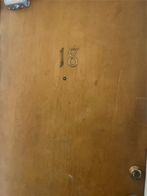 111 S Newport Ave in Tampa, FL - Building Photo - Building Photo