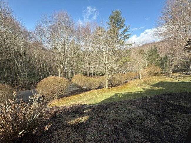 169 Brookview Ln in Banner Elk, NC - Building Photo - Building Photo