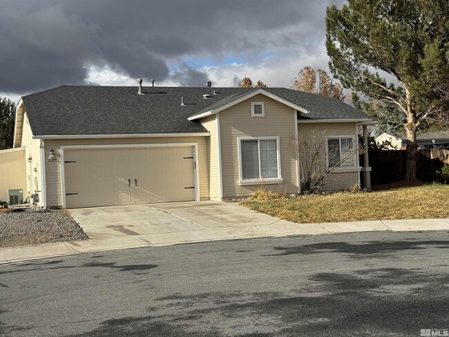 229 Milke Ct in Sparks, NV - Building Photo - Building Photo