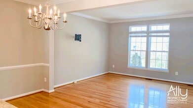 908 Rainier Rd in Charlottesville, VA - Building Photo - Building Photo