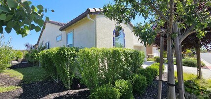 366 Silver Ridge Dr in Rio Vista, CA - Building Photo - Building Photo