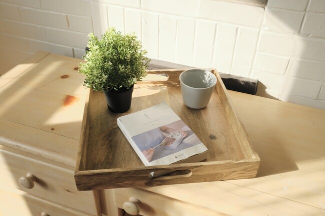 1041 Mirror St in Pittsburgh, PA - Building Photo - Building Photo