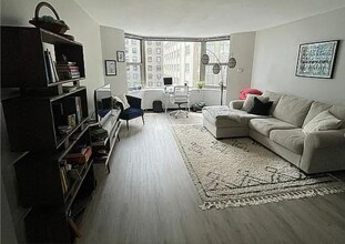 535 N Michigan Ave in Chicago, IL - Building Photo - Building Photo