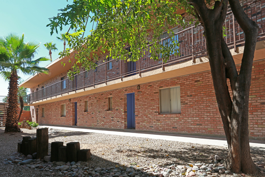 Icon Apartments in Tucson, AZ - Building Photo