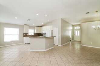 15724 Cedar Elm Terrace in Land O Lakes, FL - Building Photo - Building Photo