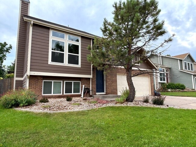 1013 Kremmling Ln in Fort Collins, CO - Building Photo - Building Photo