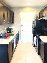 1082 W Thorndale Ave in Chicago, IL - Building Photo - Building Photo