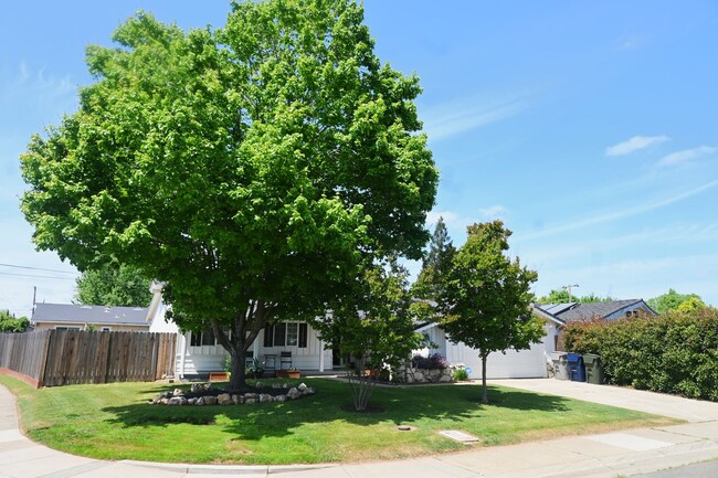 2956 Wissemann Dr in Sacramento, CA - Building Photo - Building Photo